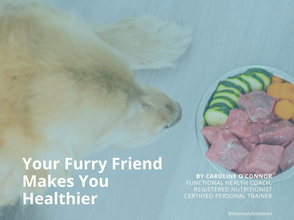 Your Furry Friend Makes You Healthier!