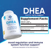 DHEA Capsules